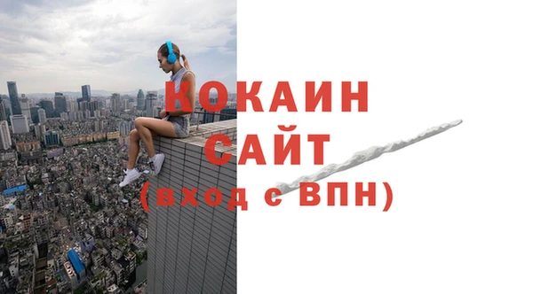 дживик Бородино