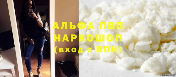 дживик Бородино