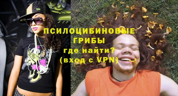дживик Бородино
